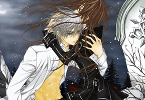 снег, vampire knight, ночь, луна, yuuki cross, Kiryu zero, рыцарь-вампир
