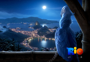 рио, птица, Мультфильм, вид на рио-де-жанейро