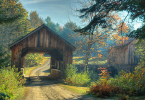 лес, деревья, осень, мост, дорога, Природа