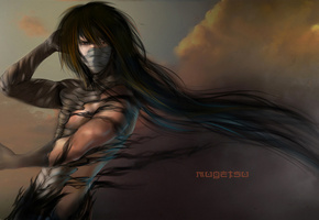 art, Аниме, финальная форма, арт, ichigo kurosaki, bleach, блич