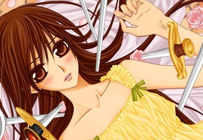юки, рыцарь-вампир, vampire knight, Аниме, yuki