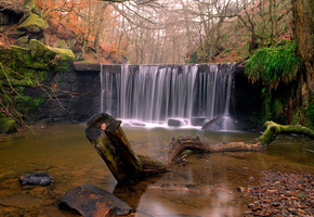 река, Природа, водопад, осень, камни, лес, коряга