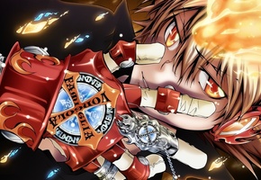 katekyo hitman reborn, Аниме, учитель-мафиози реборн