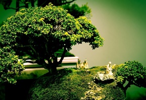 искусство, фигуры, дерево, Бонсай, композиция
