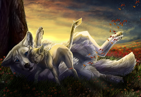 кошка, Волк, осень