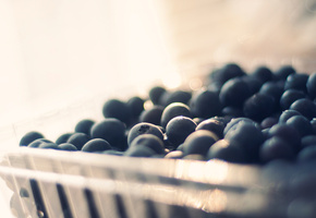 bokeh, ягоды, Черника