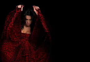 красный, черный, пятнистый, Стиль, платье, мода