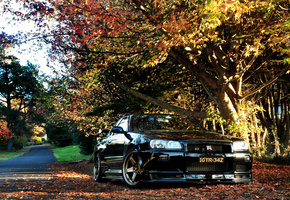 r34, gt-r, skyline, Nissan, осень