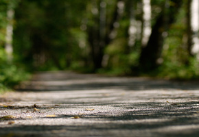 дорожка, размытость, макро, зелень, Парк, деревья