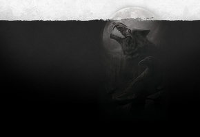 луна, Волк, ворон