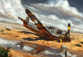 самолет, crash, by real sonkes, авиация, пустыня, Арт
