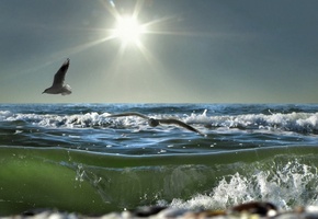 Море, солнце, чайки, пена, волна