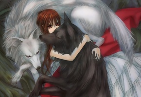 волки, Vampire knight, yuuki cross, девушка, рыцарь-вампир, объятья