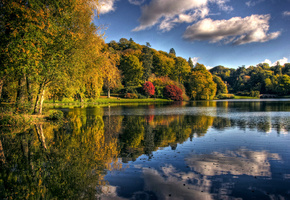 озеро, парк, осень, Природа