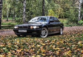 осень, лес, Bmw 7, бумер, бмв, e38