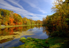 парк, осень, пруд, Природа