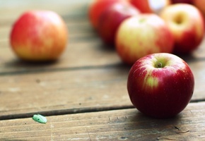 фрукты, обои, wallpapers, яблоки, Стол, макро, картинки