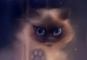 long time no see, взгляд, рисунок, лапа, зубы, клыки, Кошка