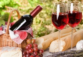 пикник, бокалы, сыр, Вино, хлеб, виноград, франция