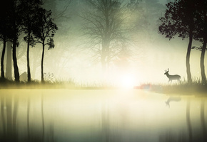 природа, Вектор, магия