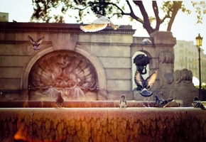 улица, солнце, город, барселона, лучи, фонтан, Испания