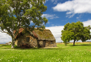 лето, Домик, поляна, деревья