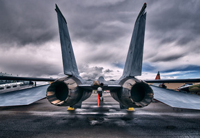 крылья, трубы, Задом