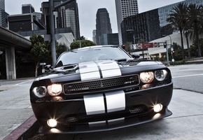 додж, challenger, мускул кар, срт8, srt8, Dodge, челенжер, muscle car, 392