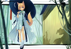 зонт, хвост, лисички, Ушки