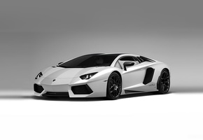 cars, белый фон, supercars, aventador lp700-4, Auto, wallpapers, lamborghini