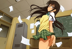 листы, девушка, эмоции, школа, ветер, Kotegawa yui, форма