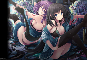 школьная форма, чулки, одеваются, школьницы, Девушки