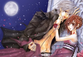 Vampire knight, рыцарь-вампир, yuuki cross, девушка, парень, kiryu zero