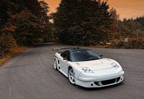 1993, Honda, acura, widebody, nsx
