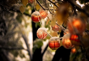 ветви, снег, фонарики, Природа, осень, листья