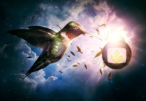 лепестки, Desktopography, птица, сияние, облака, эмблема, небо