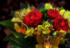 краски, листочки, свет, стиль, Розы, букет
