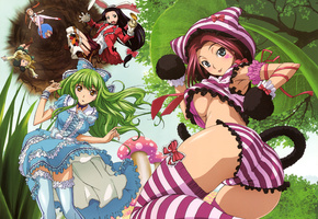 cc, Code geass, ведьма, milly ashford, anya alstreim, shirley fenette, tabata hisayuki