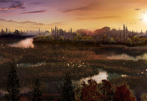 вечер, закат, Природа, пруд, птицы, мостик