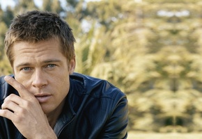 Брэд питт, продюсер, актёр, мужчина, brad pitt, взгляд