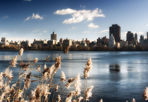 центральный парк, озеро, здания, вода, небо, Нью-йорк