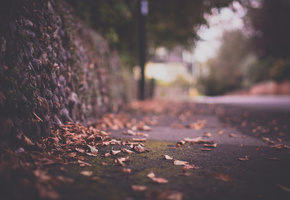 блики, ограда, Макро, город, осень, листва, дорога