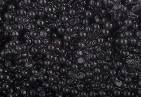 Икра, зернистая, черная