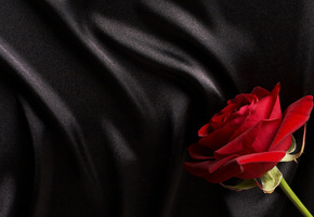 красный, черный, Сатин, роза, шелк