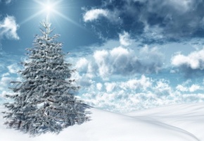 Солнце, ёлочка, небо, снег