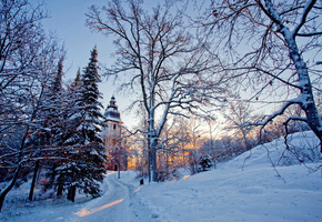 зима, деревья, свет, снег, Природа, церковь