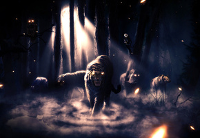 тигр, лес, туман, Desktop, звери, wallpaper, животные, лев, ночь