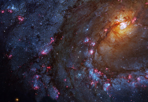 гидра, Спиральная галактика, m83, созвездие