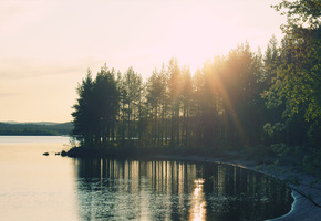 лес, свет, Природа, озеро