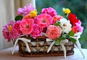 лепестки, Розы, корзинка